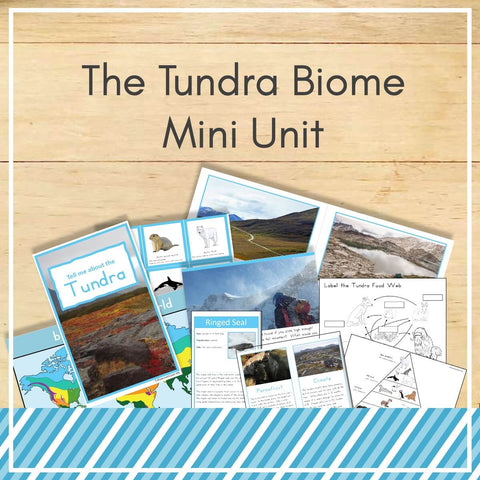 Tundra Biome Mini Unit