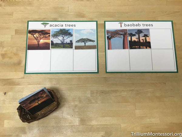 Africa Preschool Pack - Trillium Montessori