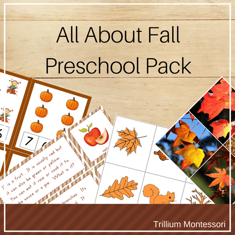 All About Fall Preschool Pack - Trillium Montessori