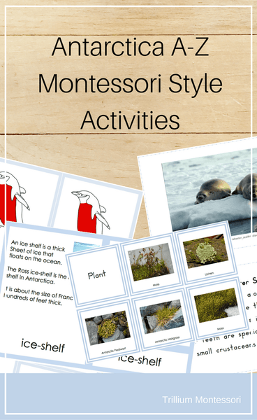 Antarctica A-Z Montessori Pack - Trillium Montessori