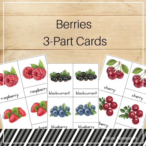 Berries 3-Part Cards - Trillium Montessori