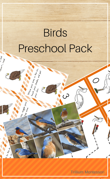 Birds Preschool Pack - Trillium Montessori