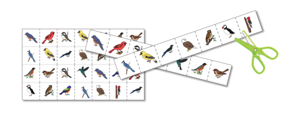 Birds Preschool Pack - Trillium Montessori