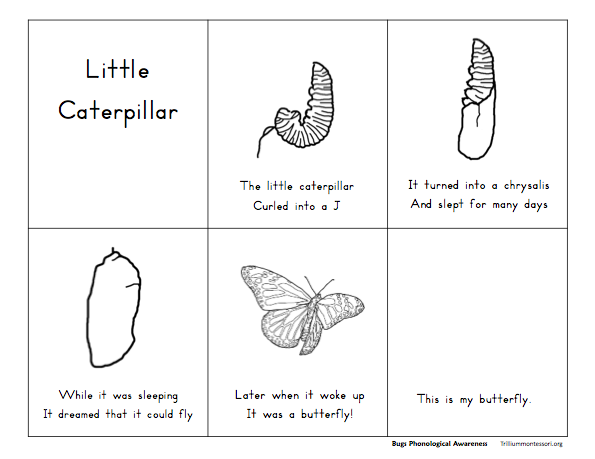 Bugs Phonological Awareness Pack - Trillium Montessori