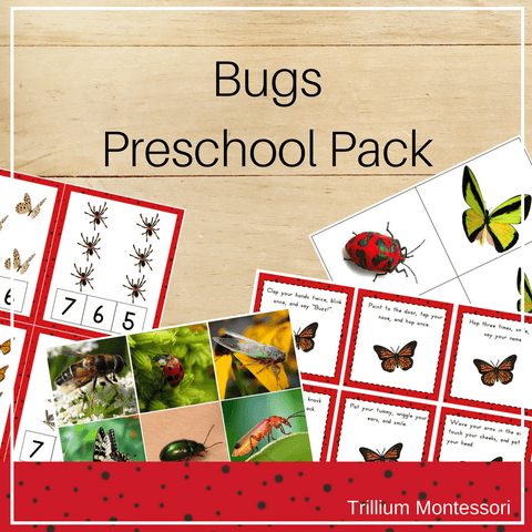 Bugs Preschool Pack - Trillium Montessori