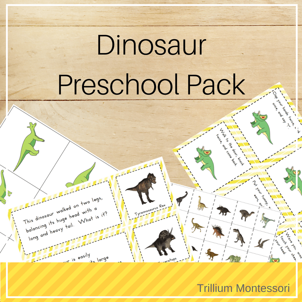 Dinosaurs Preschool Pack - Trillium Montessori
