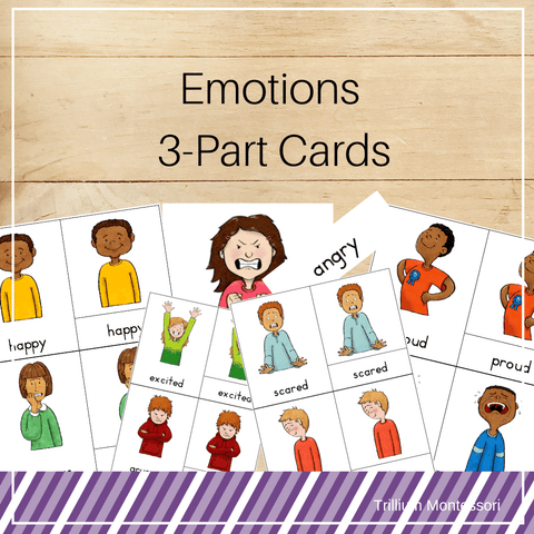 Emotions 3-Part Cards - Trillium Montessori