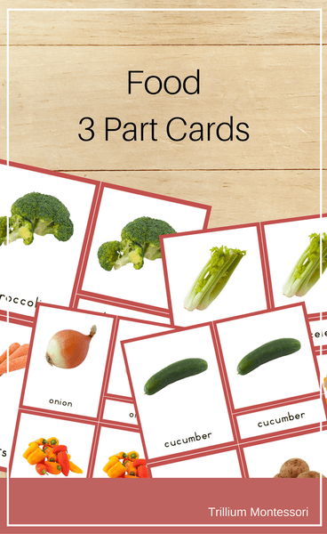 Food 3 Part Cards - Trillium Montessori