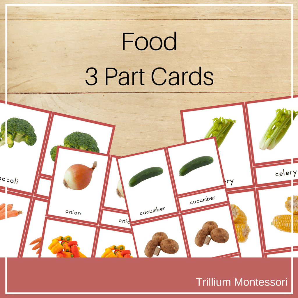 Food 3 Part Cards - Trillium Montessori