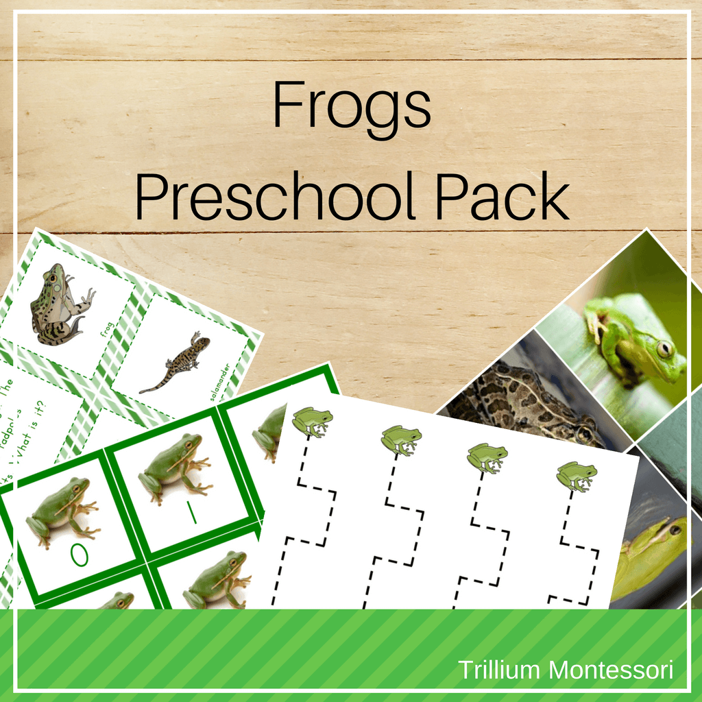 Frogs/Amphibians Preschool Pack - Trillium Montessori