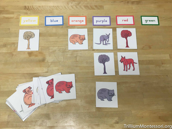 Australia and Oceania Preschool Pack - Trillium Montessori