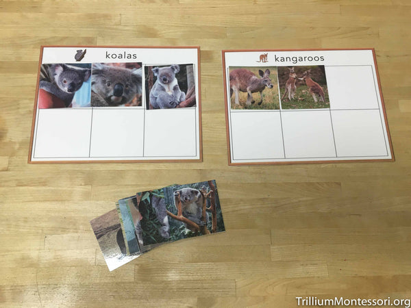 Australia and Oceania Preschool Pack - Trillium Montessori