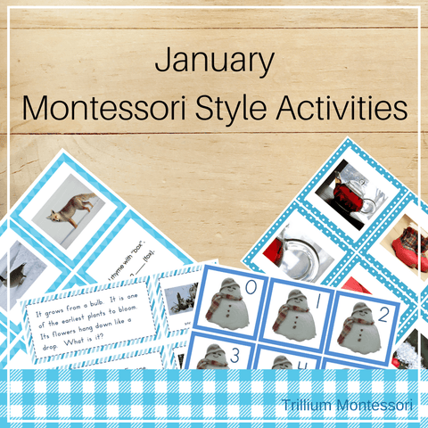 Montessori Style Activities for January - Trillium Montessori