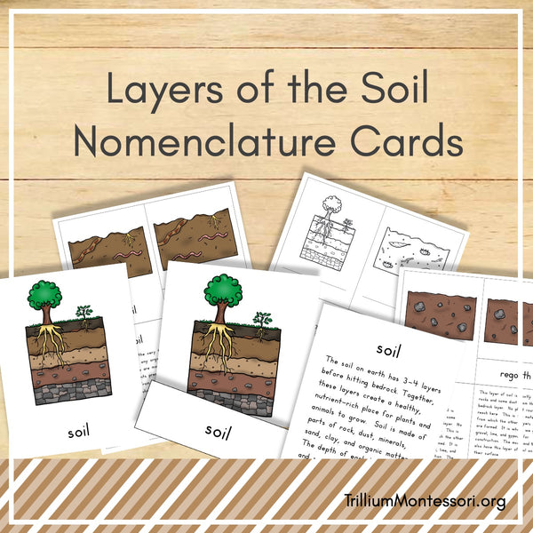Layers of the Soil Nomenclature Cards