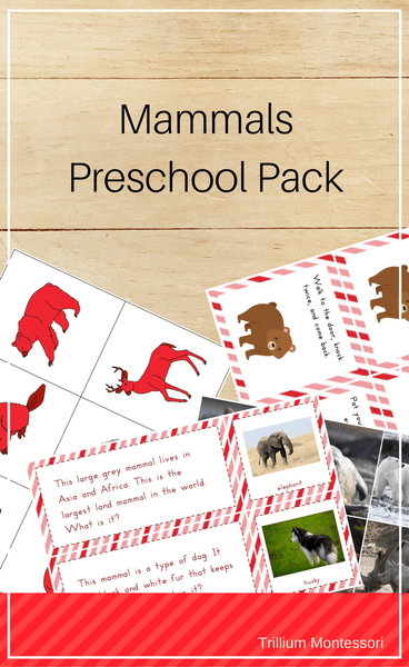 Mammals Preschool Pack - Trillium Montessori