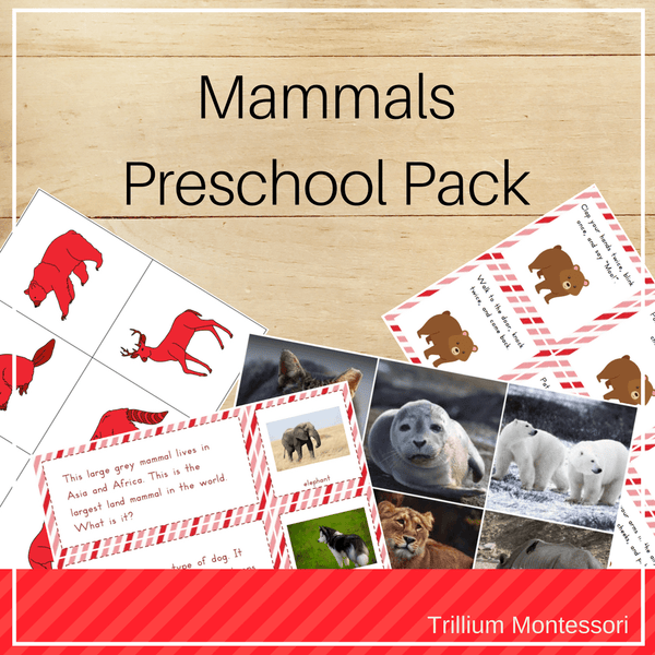 Mammals Preschool Pack - Trillium Montessori