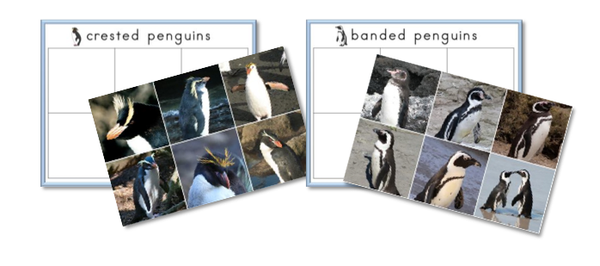Penguins Preschool Pack - Trillium Montessori