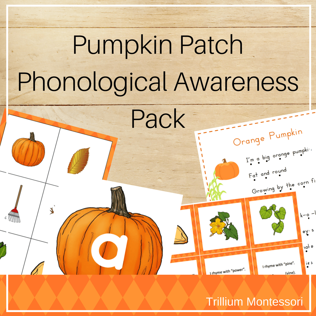Pumpkin Patch Phonological Awareness Pack - Trillium Montessori