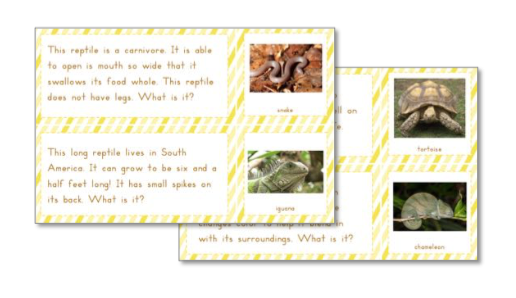 Reptiles Preschool Pack - Trillium Montessori