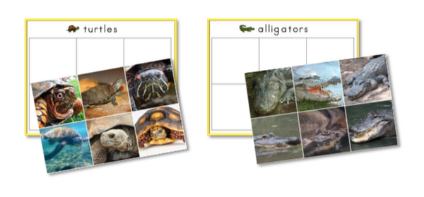 Reptiles Preschool Pack - Trillium Montessori