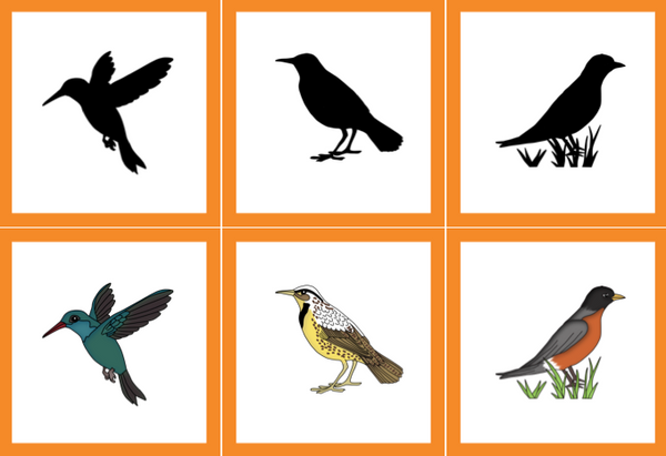 Birds Preschool Pack - Trillium Montessori