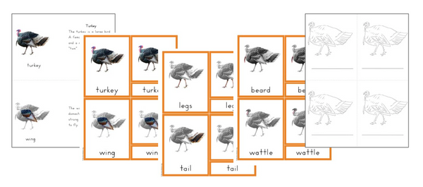 North America A-Z Montessori Pack - Trillium Montessori