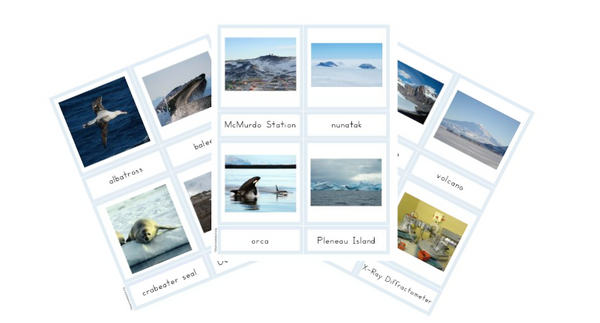 Antarctica A-Z Montessori Pack - Trillium Montessori