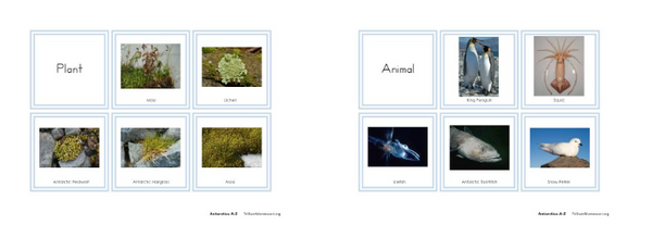Antarctica A-Z Montessori Pack - Trillium Montessori