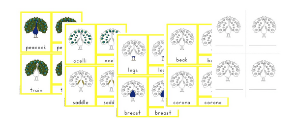 Asia A - Z Montessori Pack - Trillium Montessori