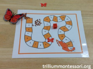 Mini Unit: Animals in Winter - SPANISH - Trillium Montessori