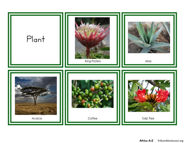 Africa A-Z Montessori Pack - Trillium Montessori