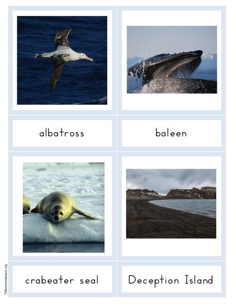 Antarctica A-Z Montessori Pack - Trillium Montessori