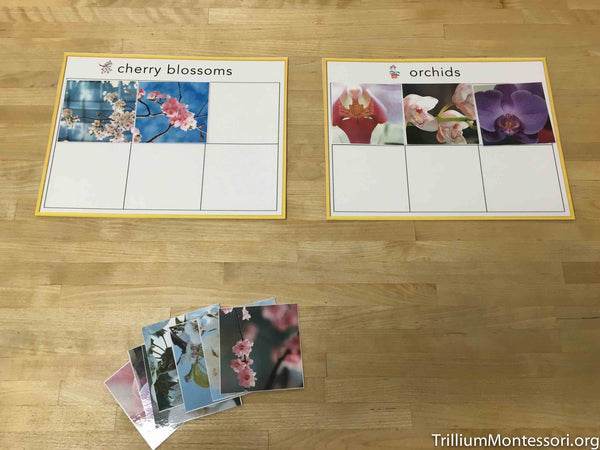 Asia Preschool Pack - Trillium Montessori