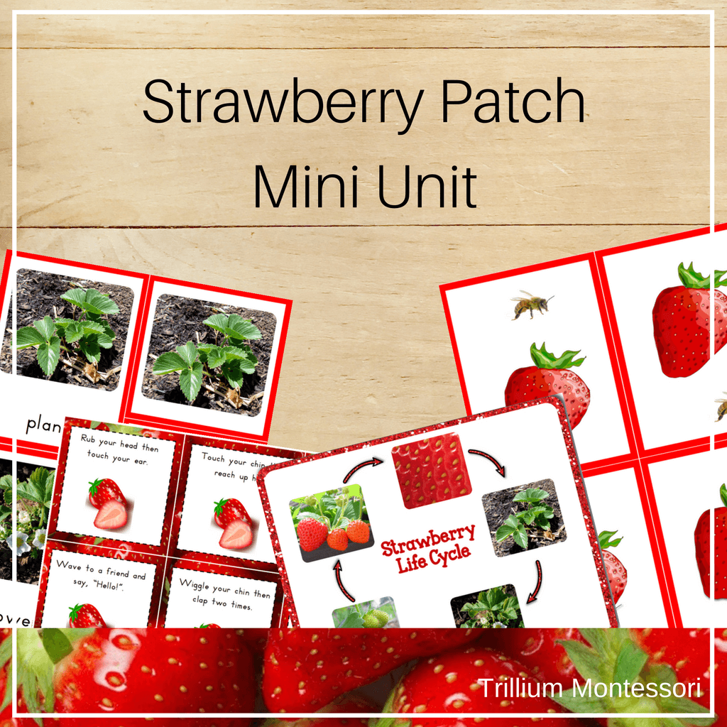 Strawberry Patch Mini Unit - Trillium Montessori