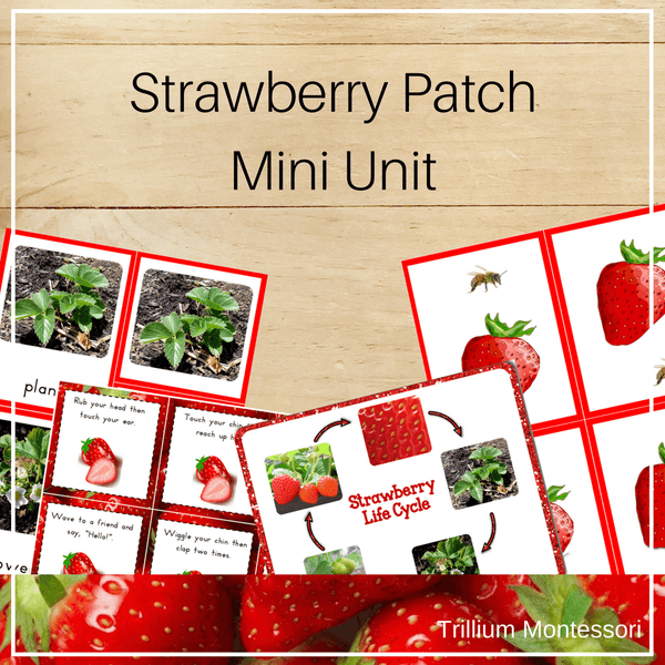 Strawberry Patch Mini Unit - Trillium Montessori