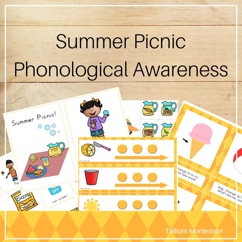 Summer Picnic Phonological Awareness Pack