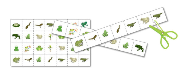 Frogs/Amphibians Preschool Pack - Trillium Montessori