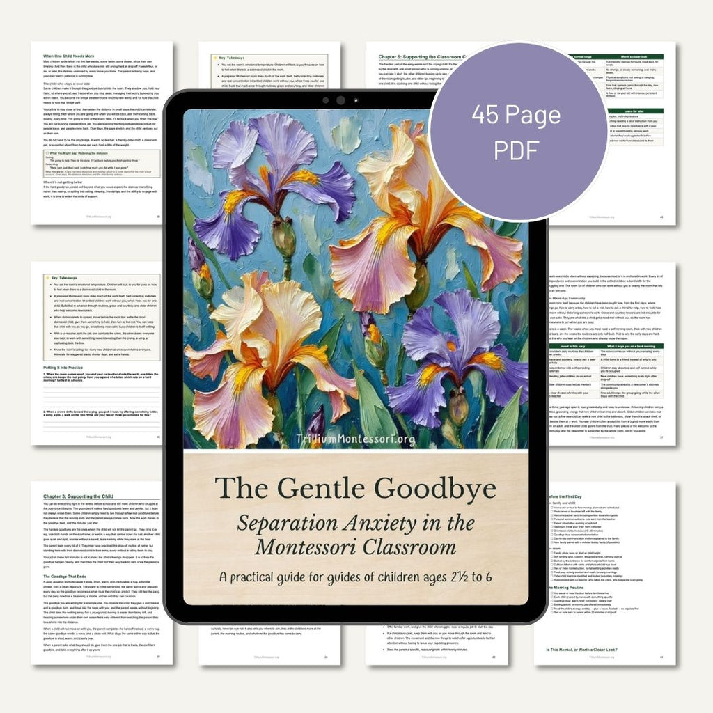 The Gentle Goodbye: Separation Anxiety in the Montessori Classroom