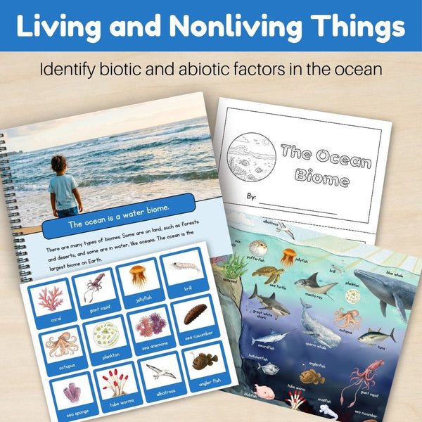 Ocean Biome: Bundle