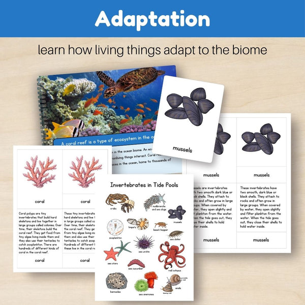 Ocean Biome: Bundle