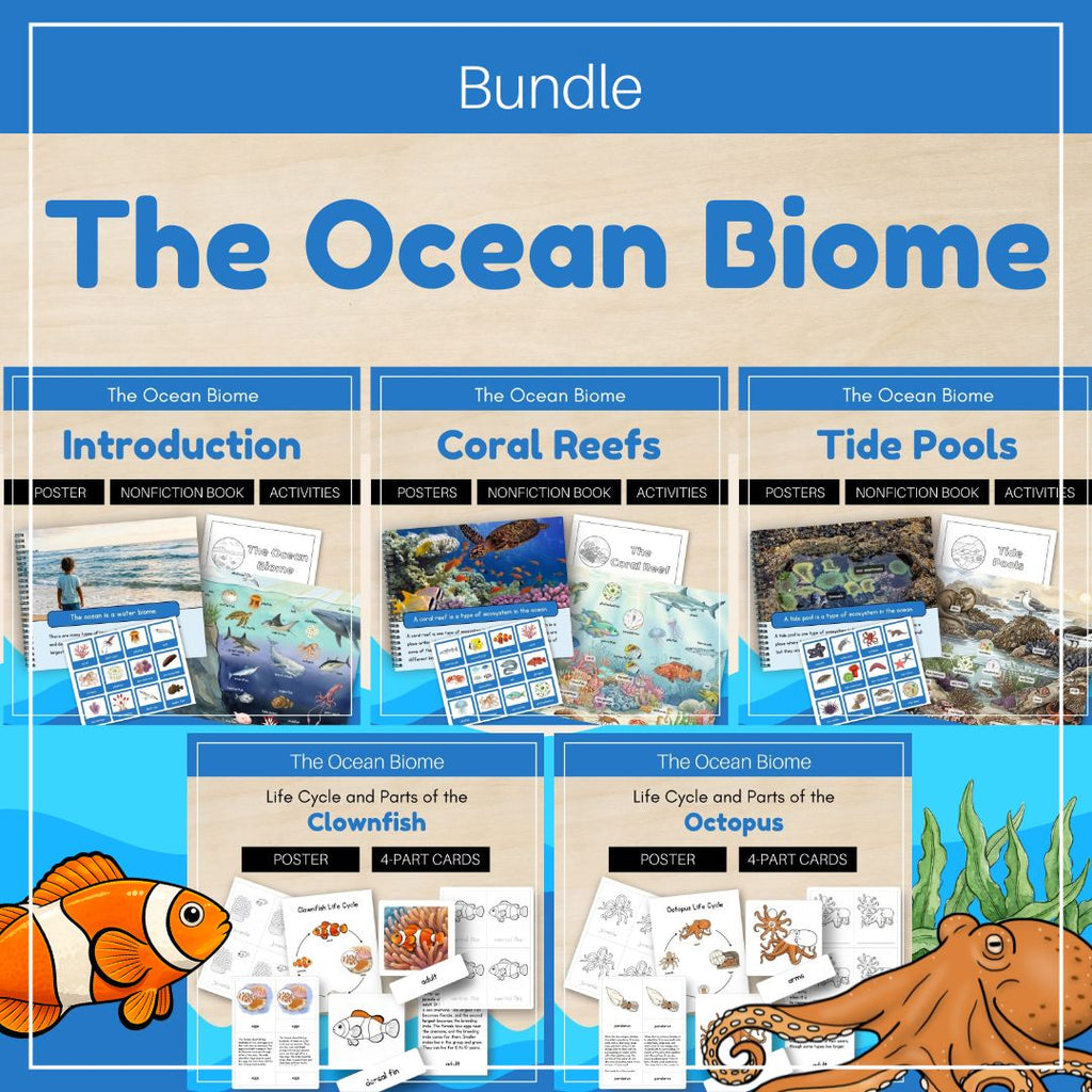 Ocean Biome: Bundle