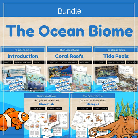 Ocean Biome: Bundle