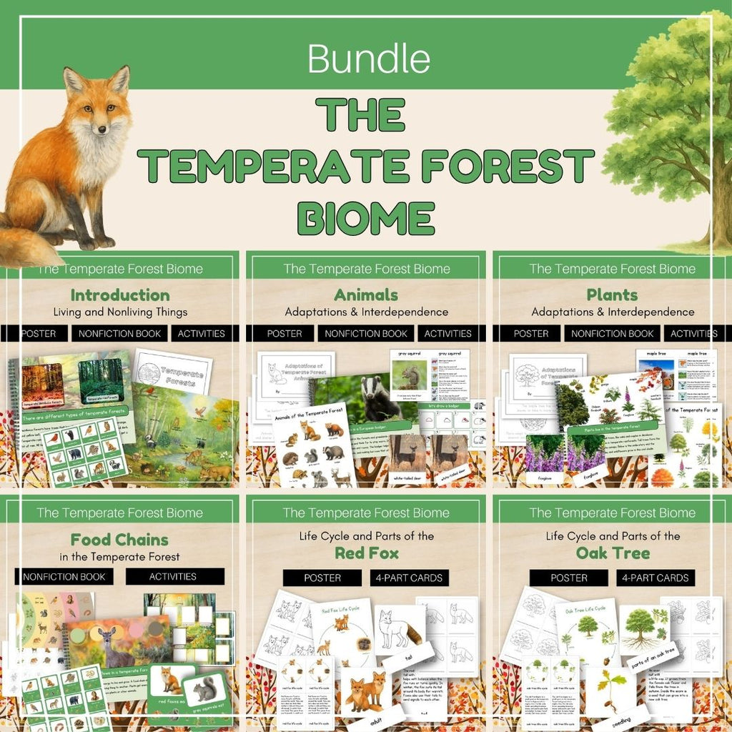 Temperate Forest Biome: Bundle