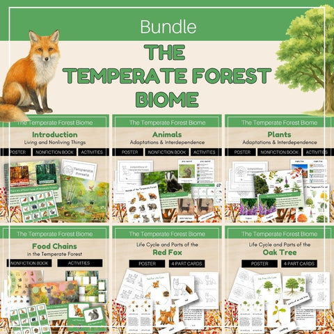 Temperate Forest Biome: Bundle
