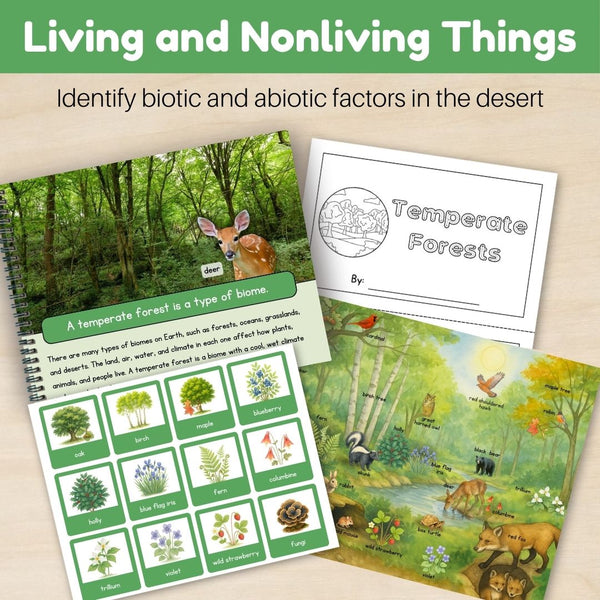 Temperate Forest Biome: Bundle