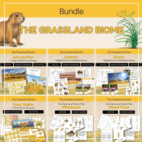 Grassland Biome: Bundle - Trillium Montessori