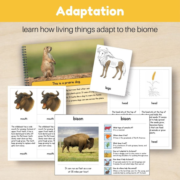 Grassland Biome: Bundle - Trillium Montessori