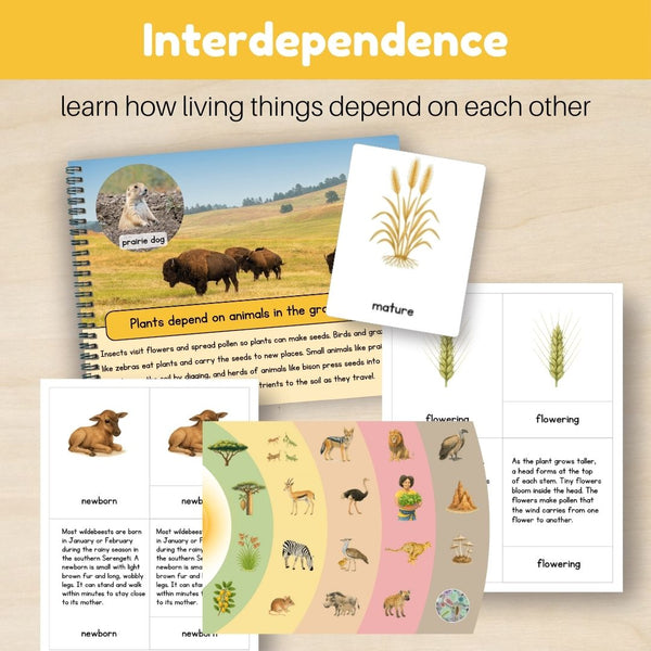 Grassland Biome: Bundle - Trillium Montessori