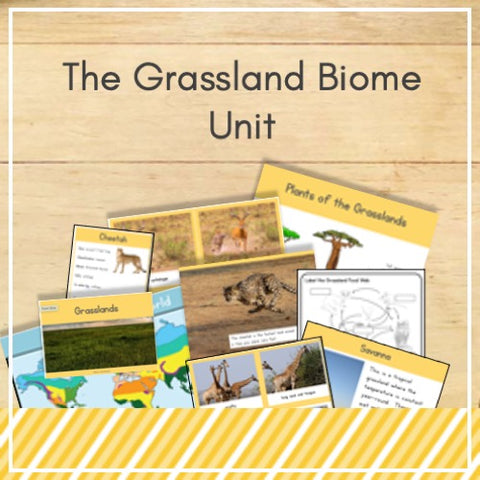 Grasslands Biome Mini Unit