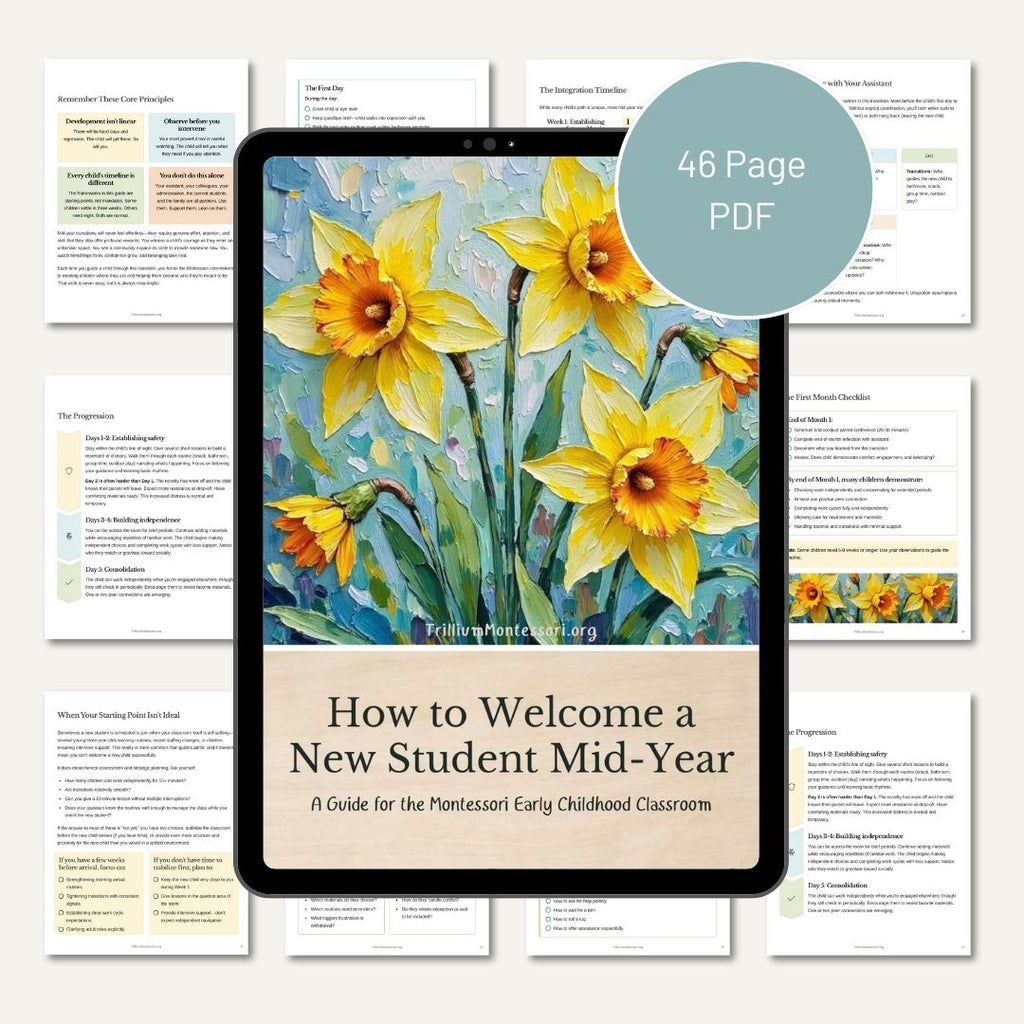 How to Welcome a New Student Mid-Year